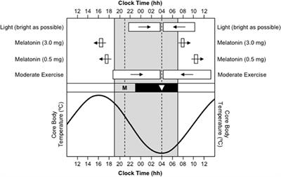 Interventions to Minimize Jet Lag After Westward and Eastward Flight